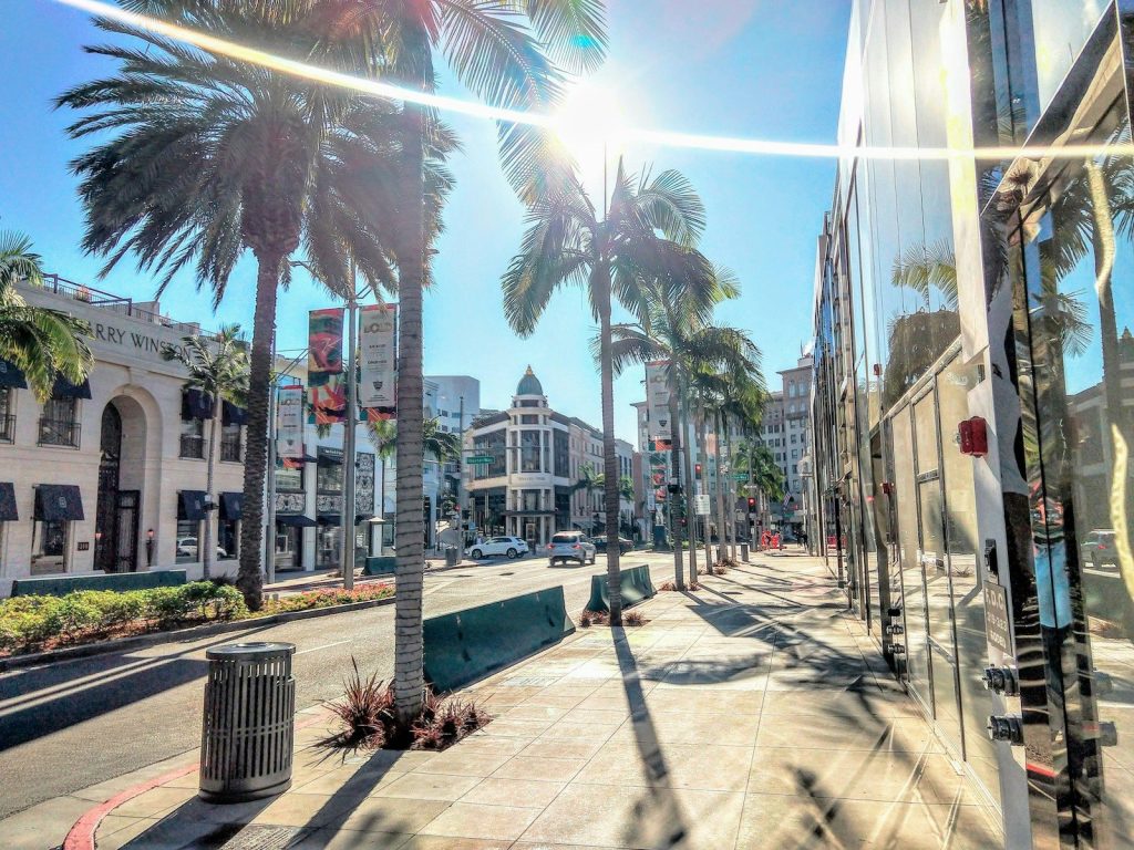 green palm trees during daytime rodeo drive in Beverly hills