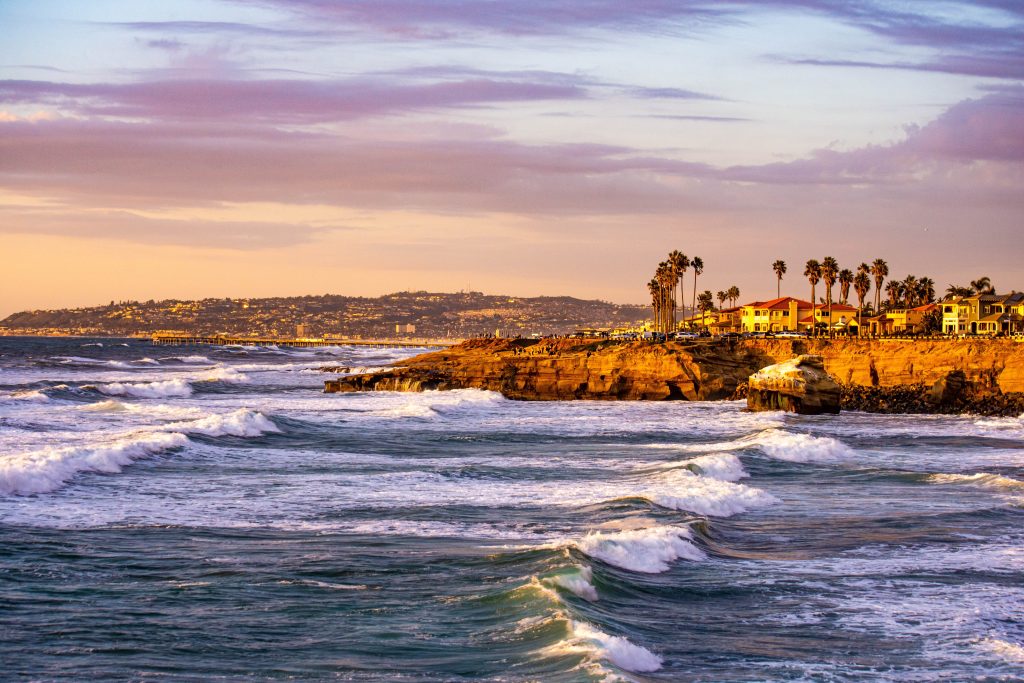 sunset cliffs San Diego ocean and palm trees scenic view