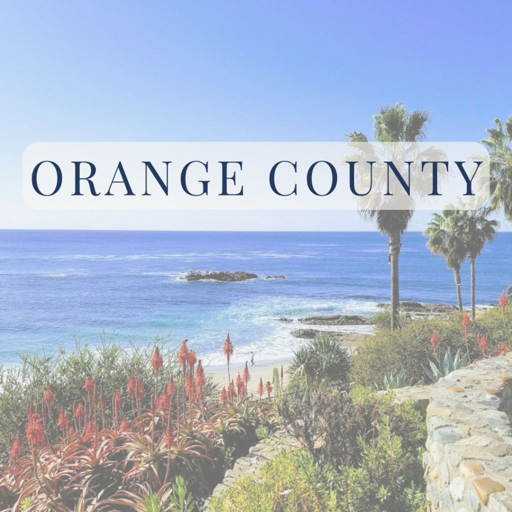 orange county California palm trees beach and coast