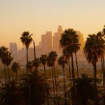 green palm tree and city view of los angeles