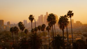 green palm tree and city view of los angeles